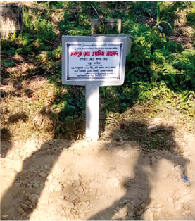 Memorial Photo